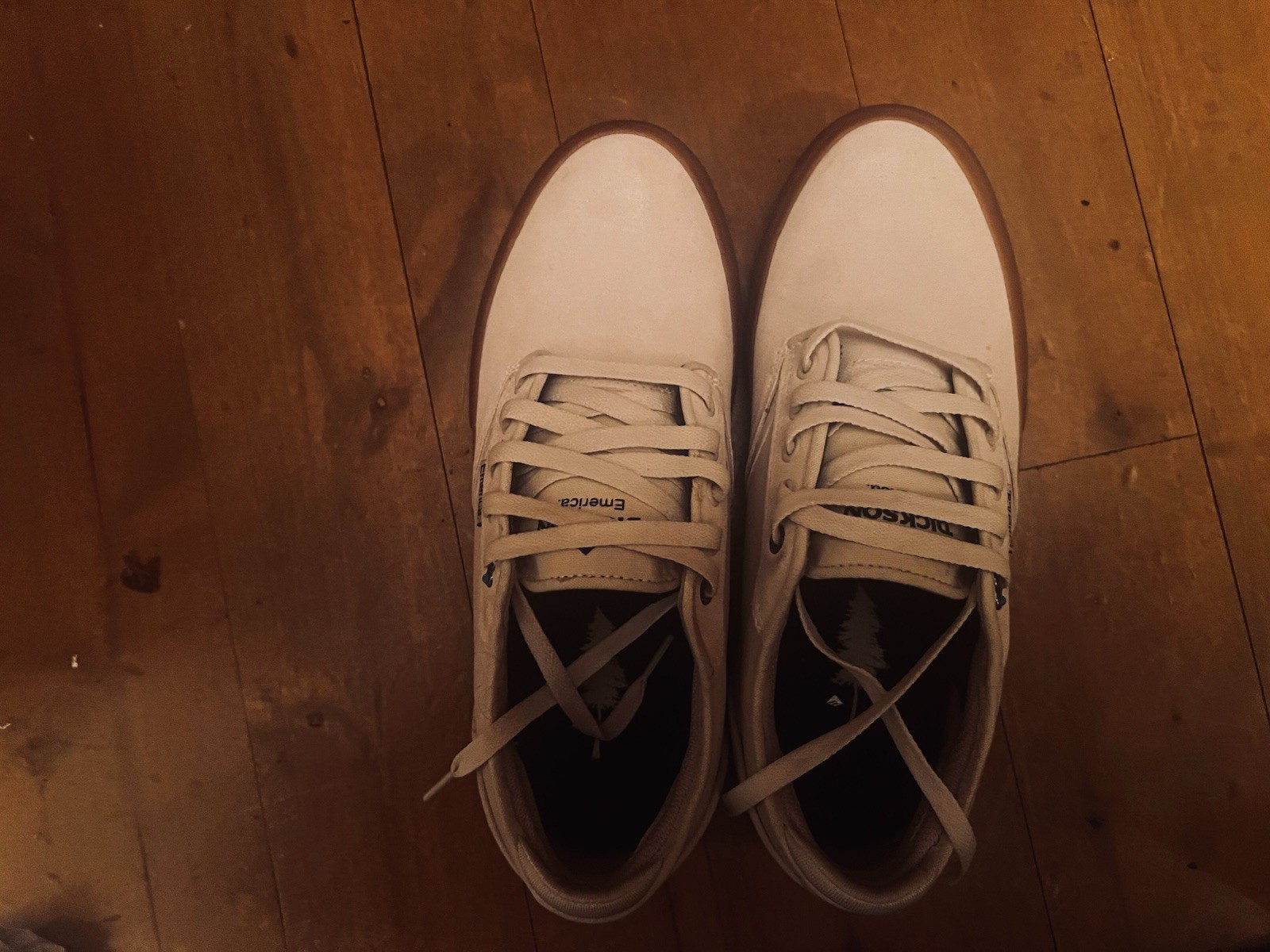 Emerica Jon Dixon Pro Model-White/Gum 9.0