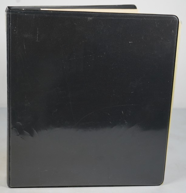 WORLDWIDE ACCUMULATION OF 1,700 STAMPS MINT & USED IN BINDER ON STOCK PAGES