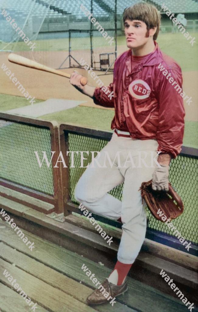 GQ254 Pete Rose Cincinnati Reds 8x10 11x14 16x20 Colorized Photo