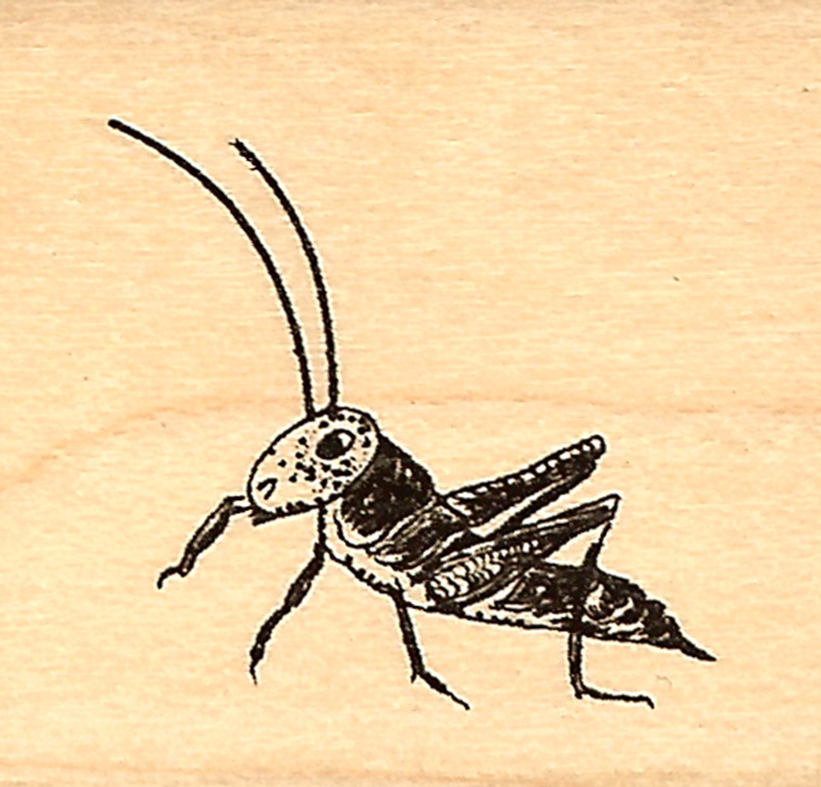 Small CRICKET Wood Mounted Rubber Stamp JUDIKINS 3780C New