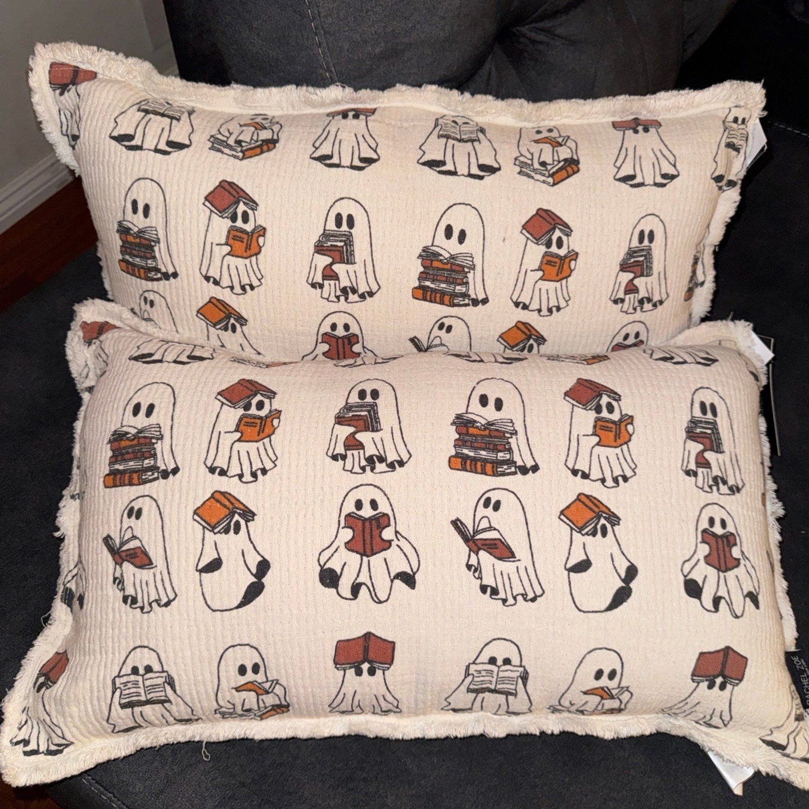 Brand New Rachel Zoe Ghost Reading Books Pillows - Set of 2