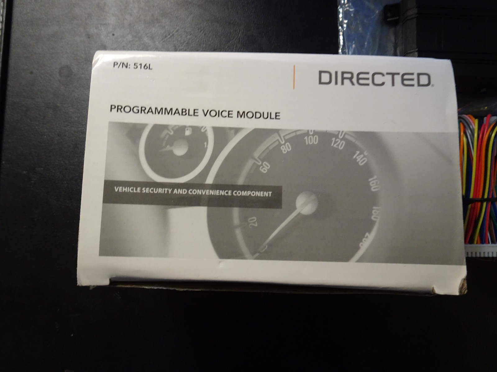 Directed 516L Programmable Voice Module with 518LN Speaker Kit