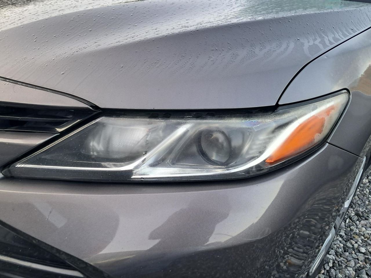 CAMRY 2019 Glove Box 4782753