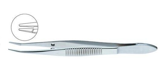 Barraquer Cilia Forceps