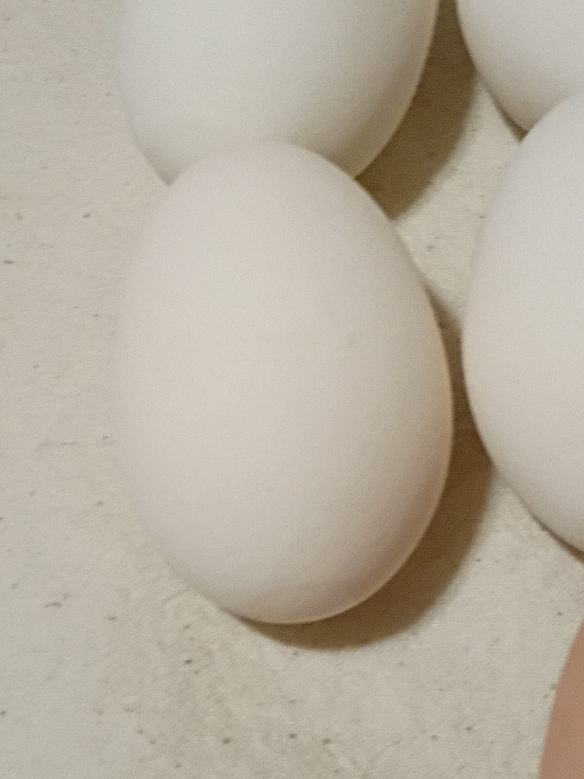 Set Of 10 Polymer Chicken Eggs B9