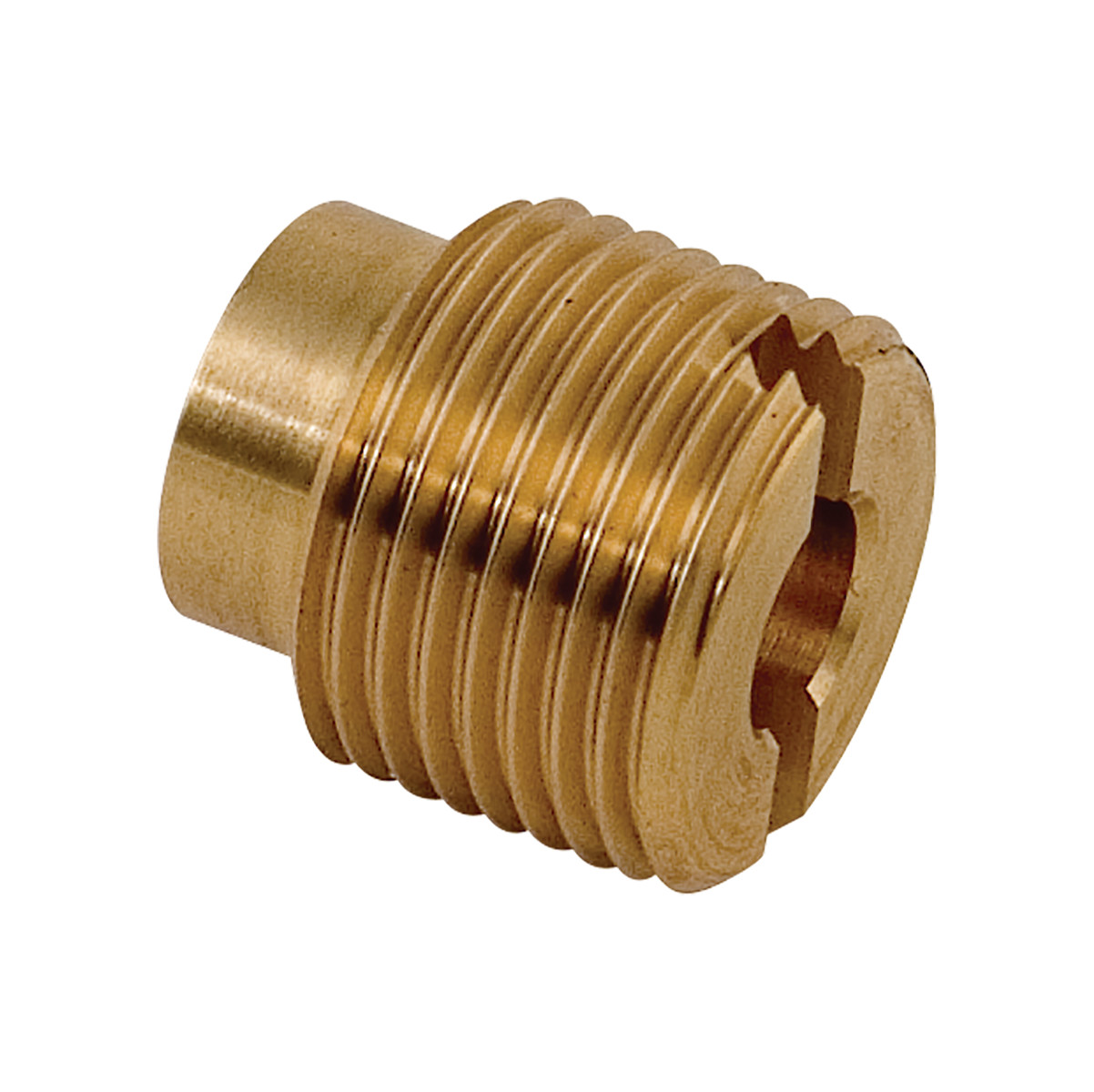 Door Bellows Housing Bolt (Tuttnauer)