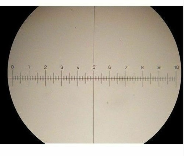 Microscope Eyepiece Graticule Measuring Glass Micrometer 19mm 20mm 24mm ProScope