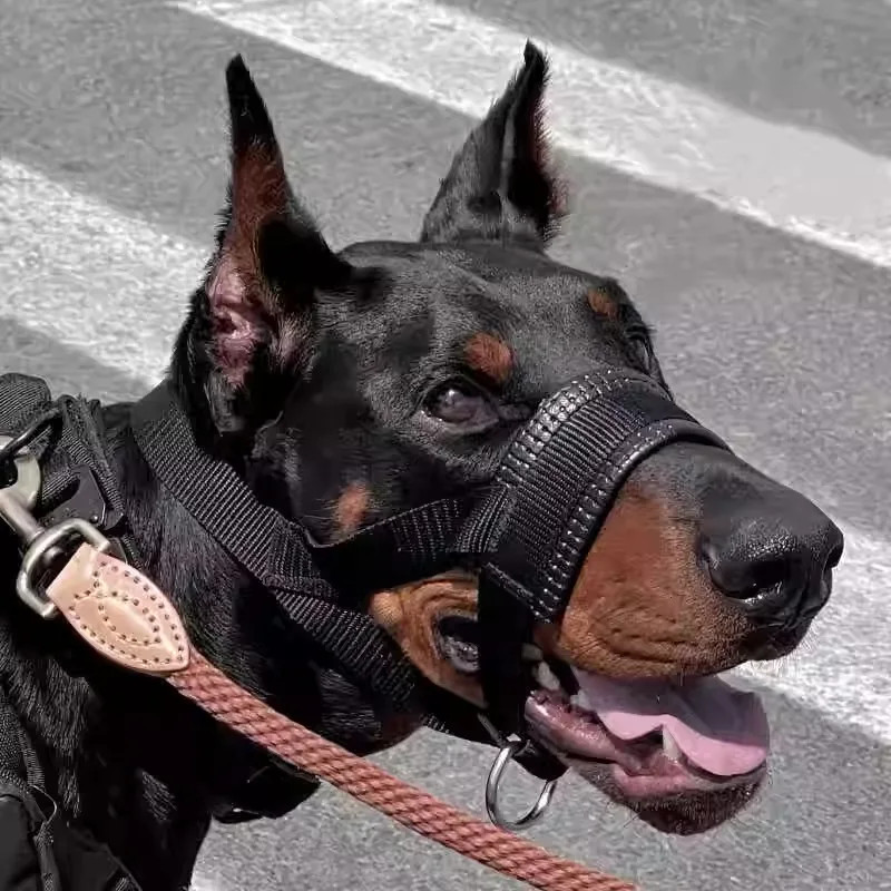 Dog Muzzle Made of Nylon, Anti-biting, Anti-, Anti-barking, Anti-pecking, Can Dr