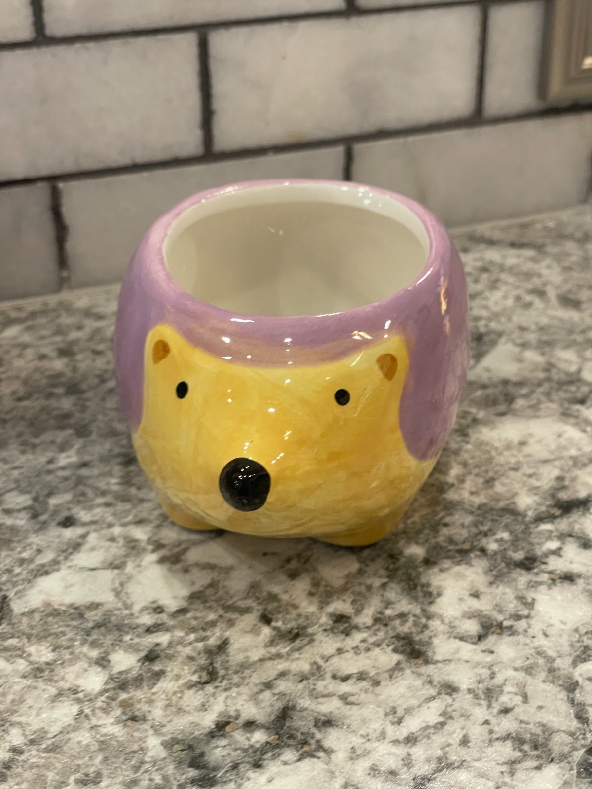 Hedgehog Animal Planter, "Hudson" Ceramic, *****New*****