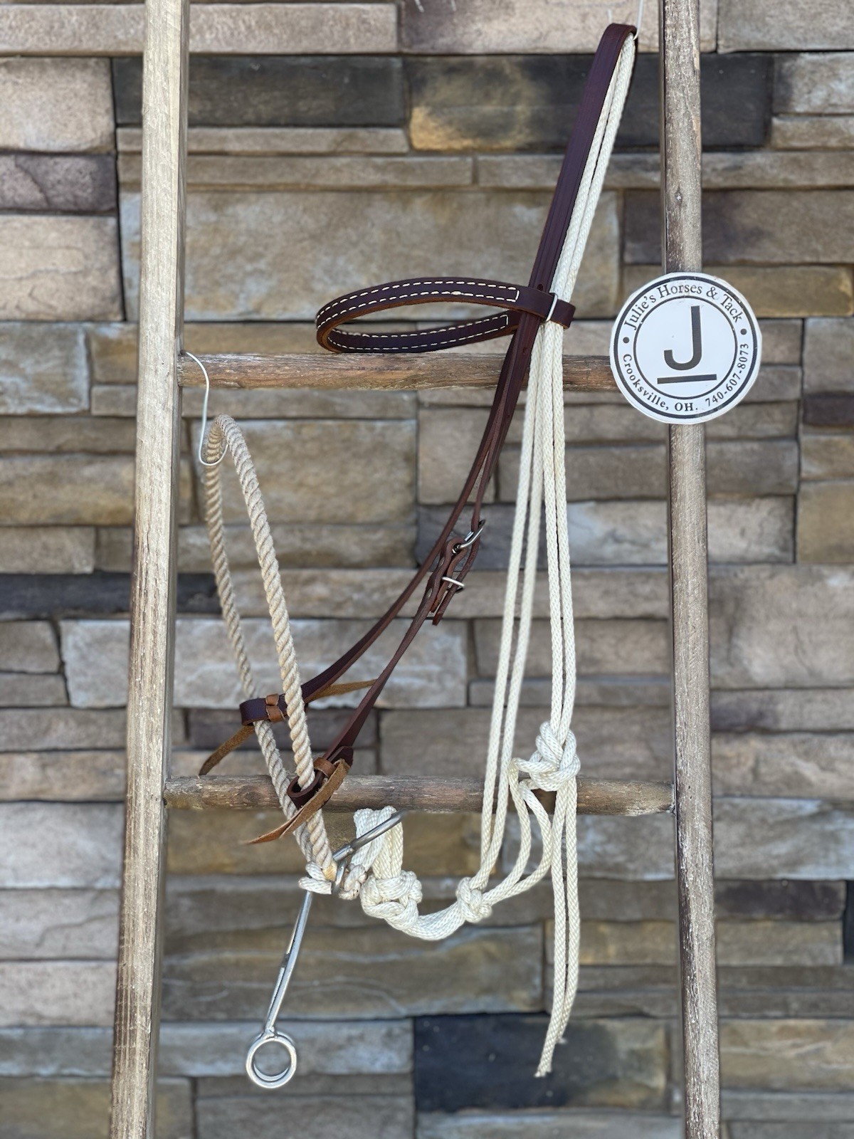 Browband Western Horse Training Headstall, Colt Starting 🌵