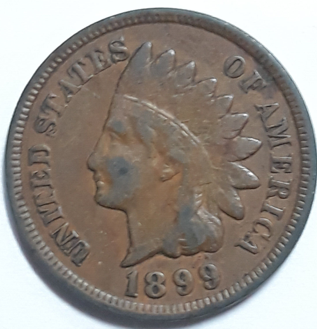 1899 Indian Head Cent