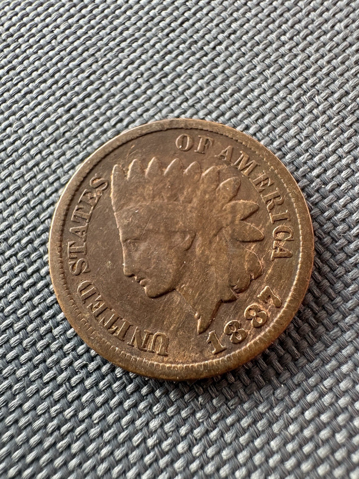 Indian Head Penny | Average Circulated | U.S. Coin | Random Year | COA