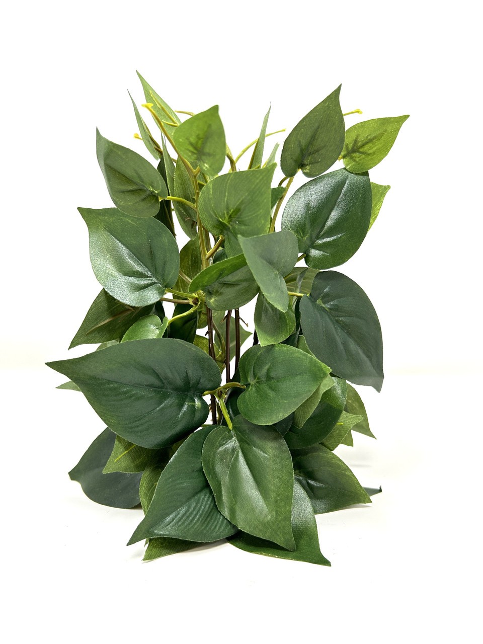 7" Medium ALL GREEN POTHOS Bush, very soft silk Pothos plant, stone base, Goldfi