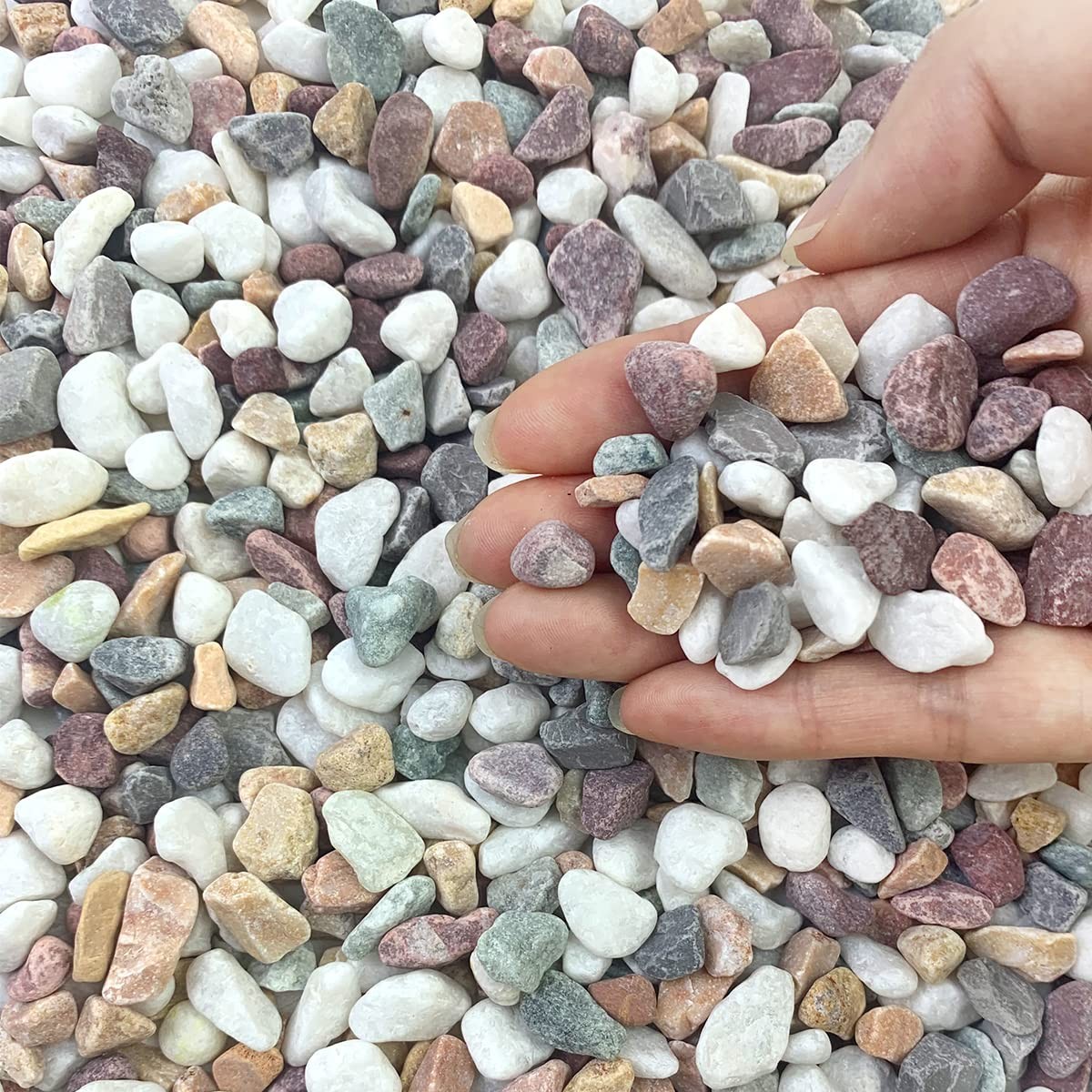 2 lbs Mixed Pea Gravel Pebbles 3/8" for Succulents, Vases, Aquarium, Outdoor Use
