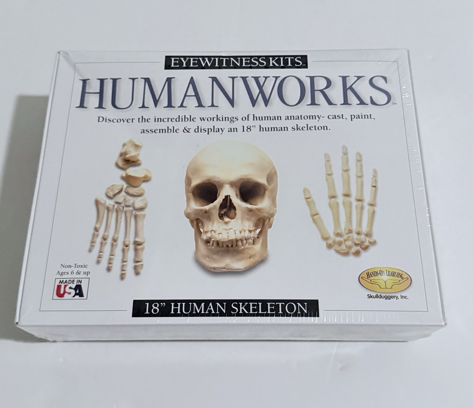 Eyewitness Kits Humanworks 18" Human Skeleton Kids Educational Fun - New In Box