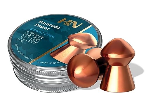 Domed Airgun Pellets .22 Caliber