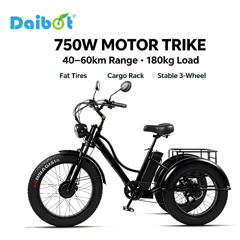 750W  3-Wheel Adult Electric Tricycle, Detachable Battery & Cargo Basket