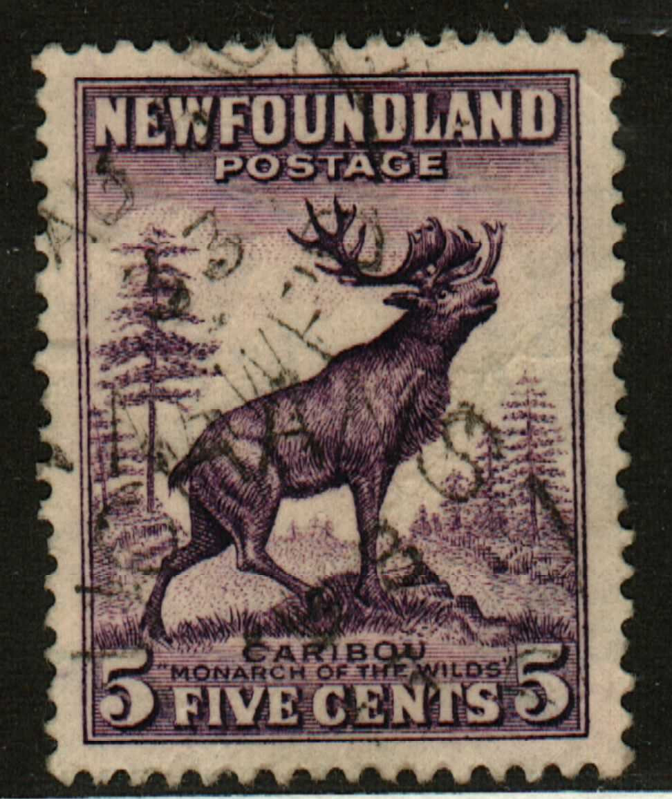 Newfoundland #190  Caribou used