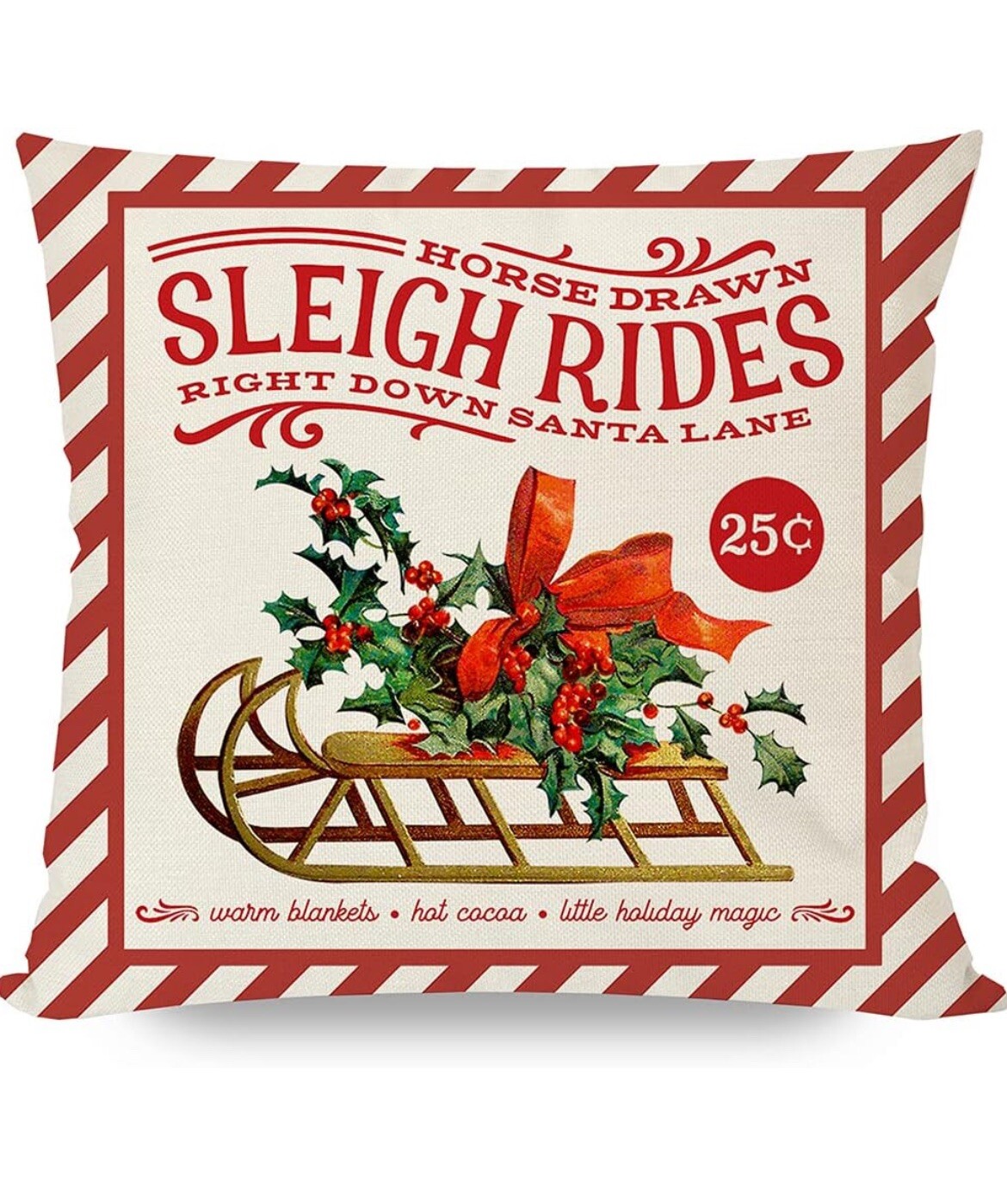 PANDICORN Christmas Pillow Covers Sleigh Rides Santa (Set 2) NEW