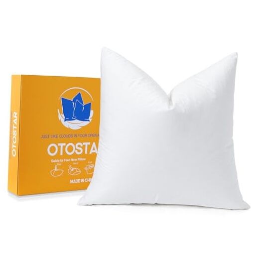 Pack of 1 Down and Feather Throw Pillow Inserts, 24 x 24x24 Inch (Pack of 1)