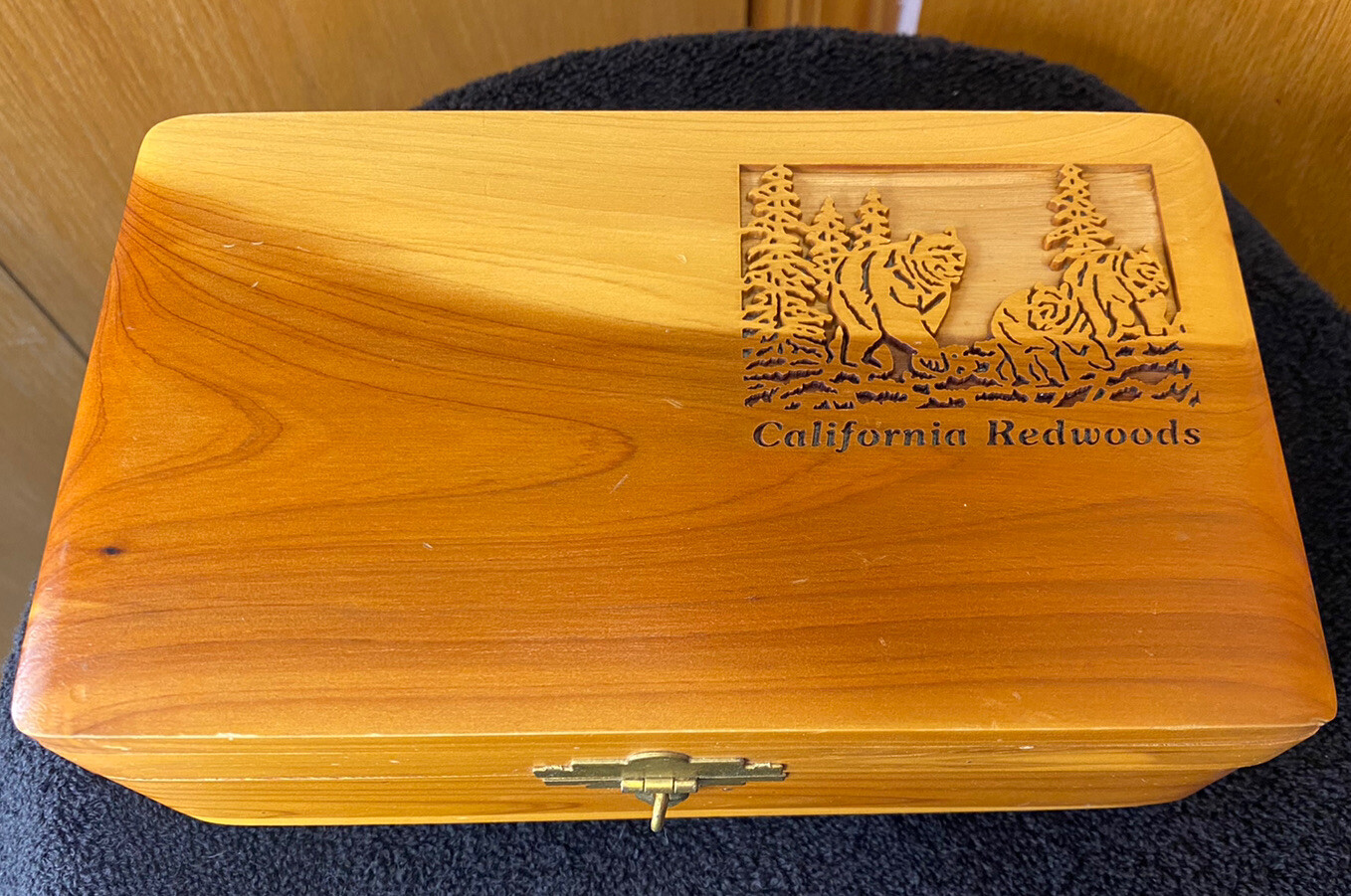 Laser Engraved Hinged Wood Trinket Box with California Redwoods/Wilderness