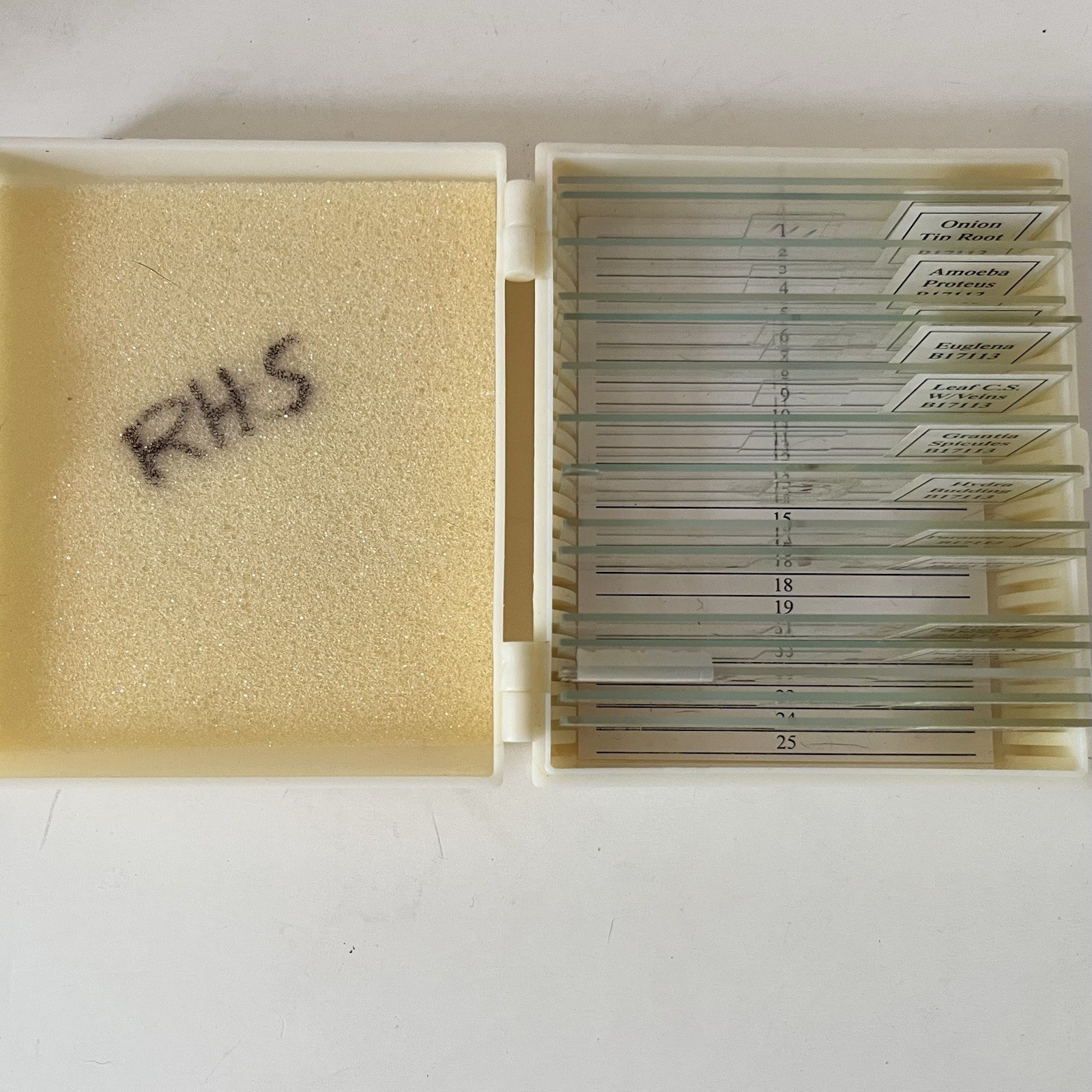 Apologia Biology Microscope Incomplete Slide set 1 & plastic case 15 slides GUC