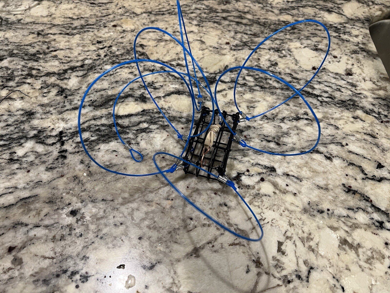 5 crab snares No Weight