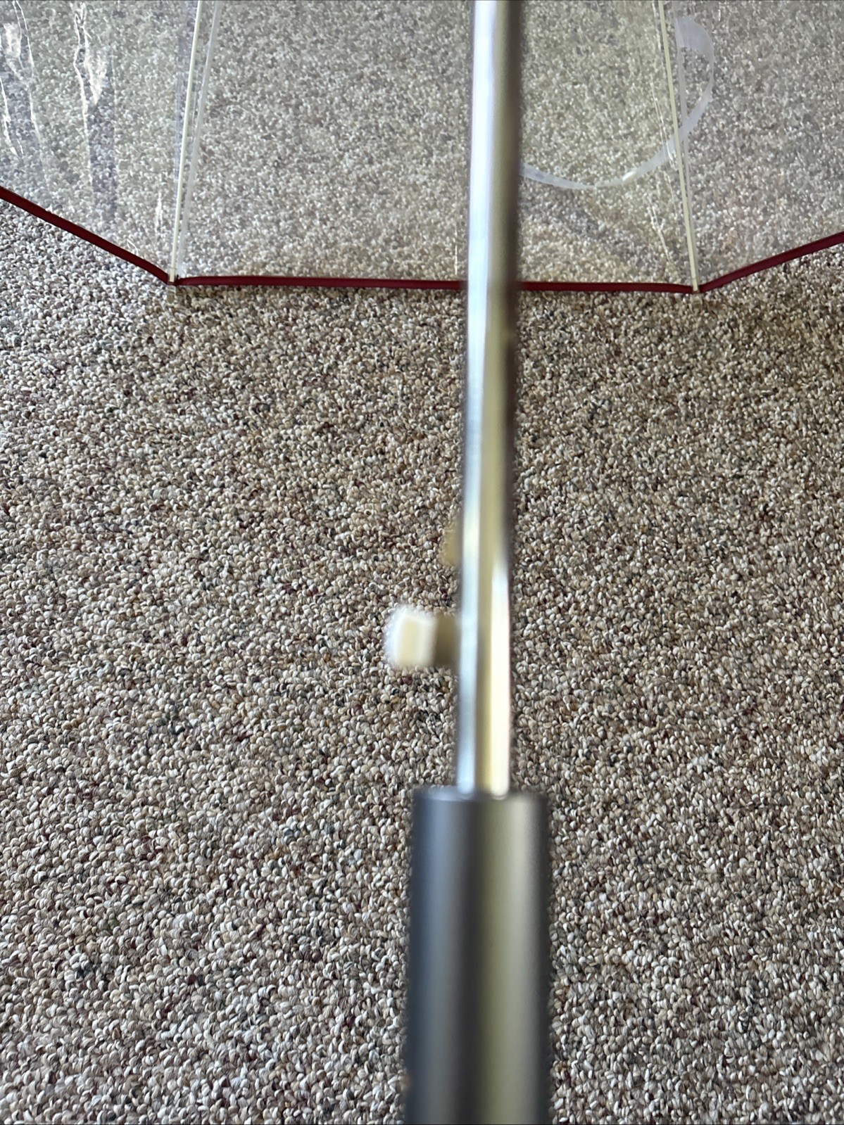 COACH BUBBLE-clear-black-burgundy Umbrella