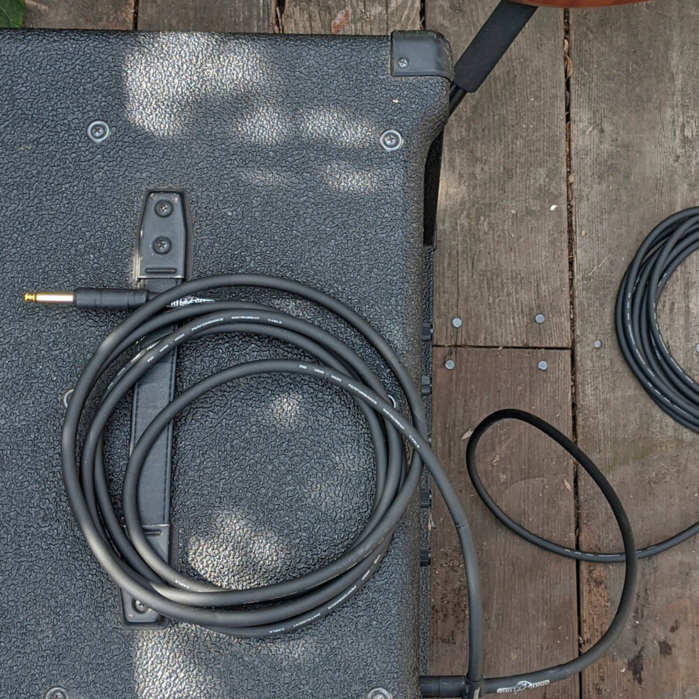 Pig Hog PH10 10' Instrument Cable Dual Pack