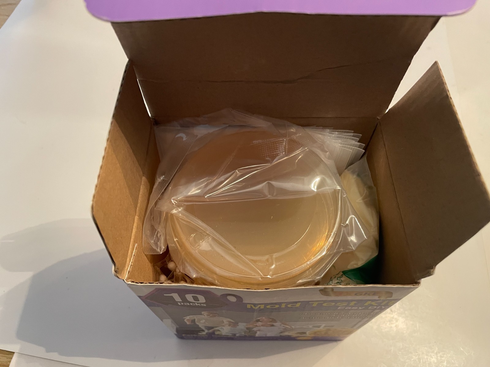 JXGKL Mold Test Kit for Home 10 Complete DIY Tests