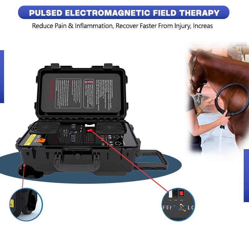 PMST Loop PEMF Pulsed Eletromagnetic Feild Sport Injury Pain Therapy Machine