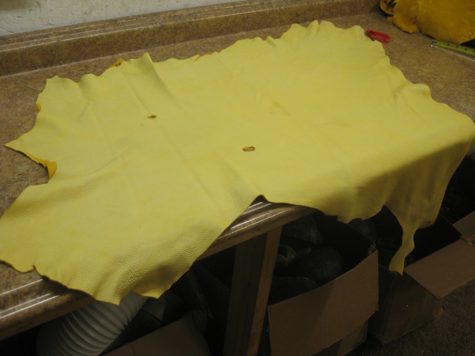 Top Grain Deer Leather #0013912 Row 142