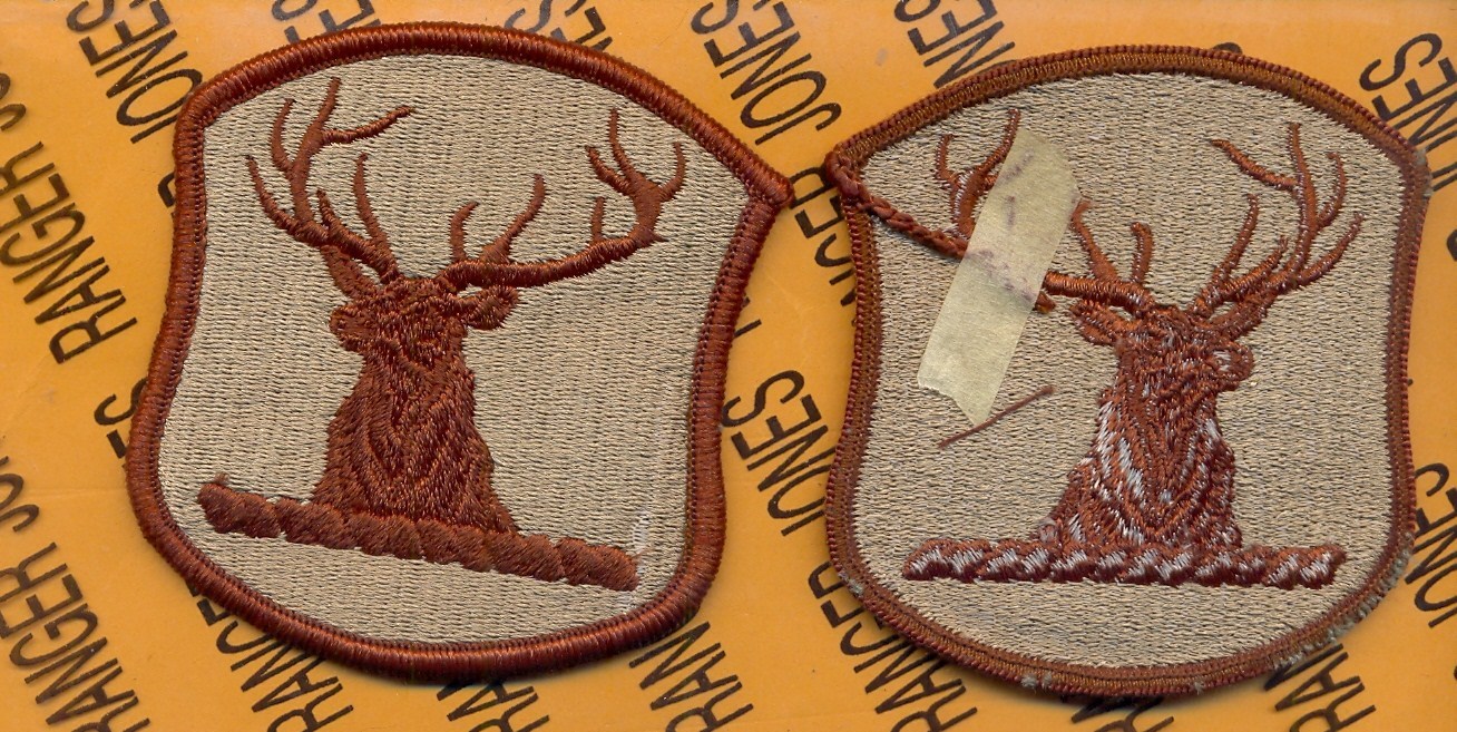 US Army Idaho Army National Guard ARNG Desert DCU ~3" patch m/e Type II
