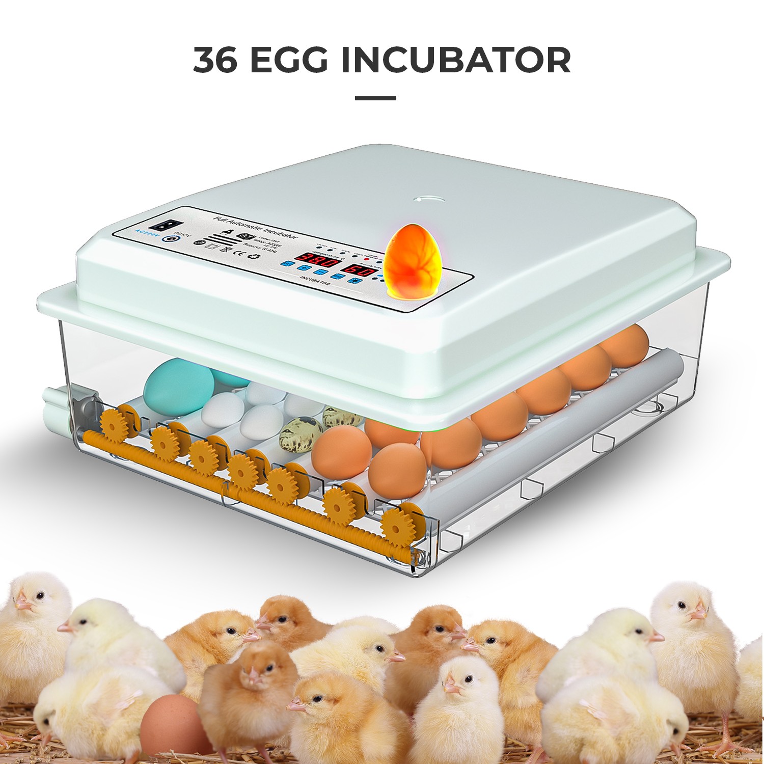 36 Eggs Incubator Temperature Control Chicken Hatcher Automatic Turning Digital