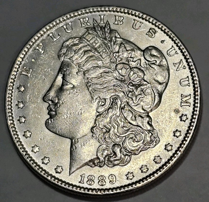 1889 morgan silver dollar ms condition  #110