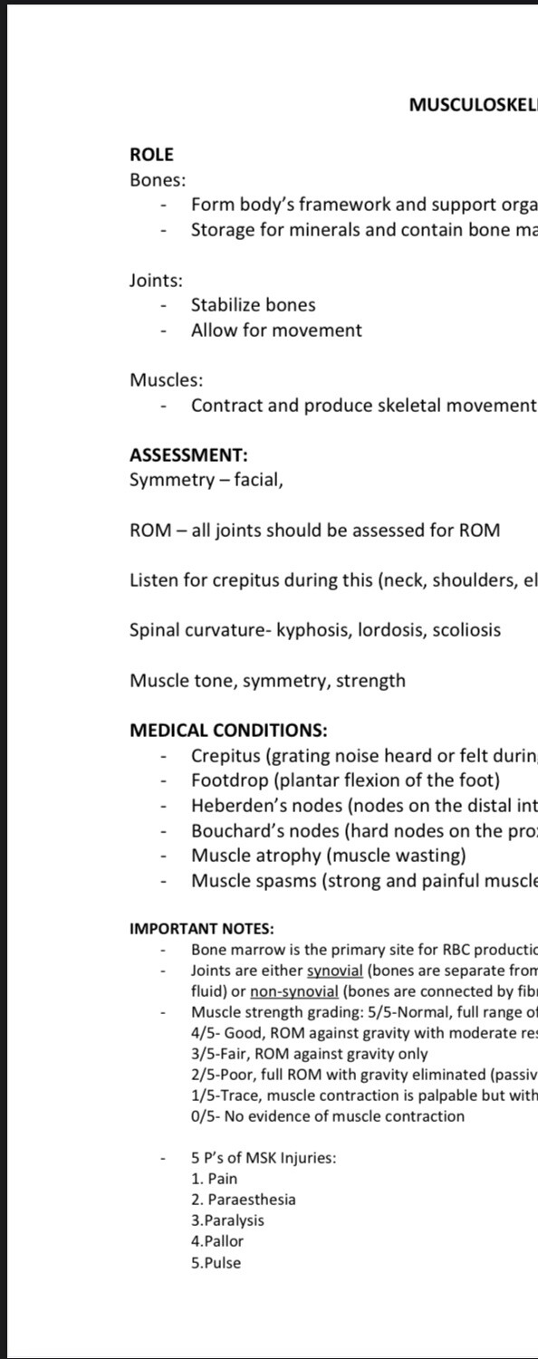 Nursing Student Study Guide NEW UPDATED VERSION 2025
