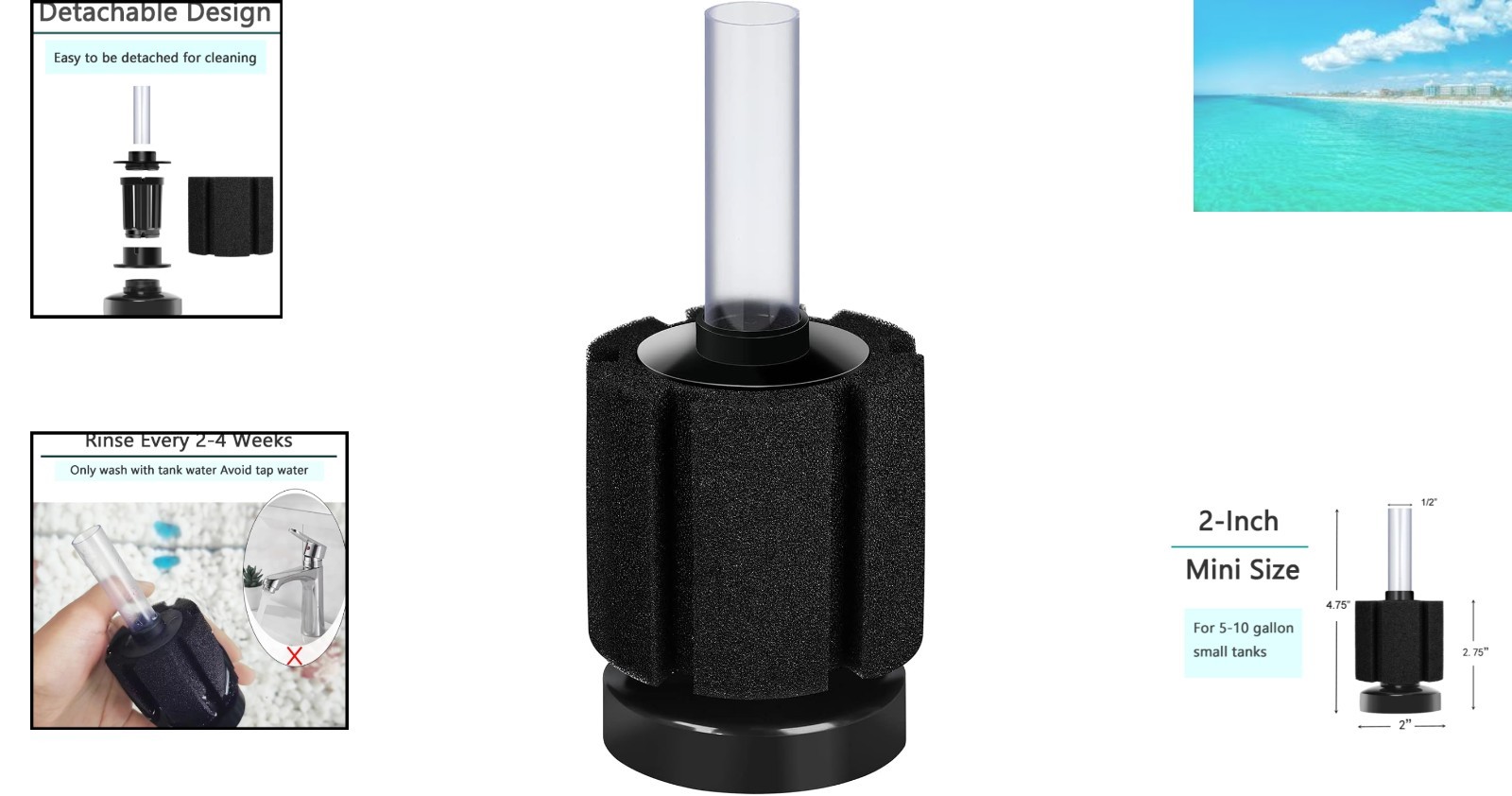 Safe Sponge Filter for Betta & Dwarf Cichlids - Ideal for Small Aquariums