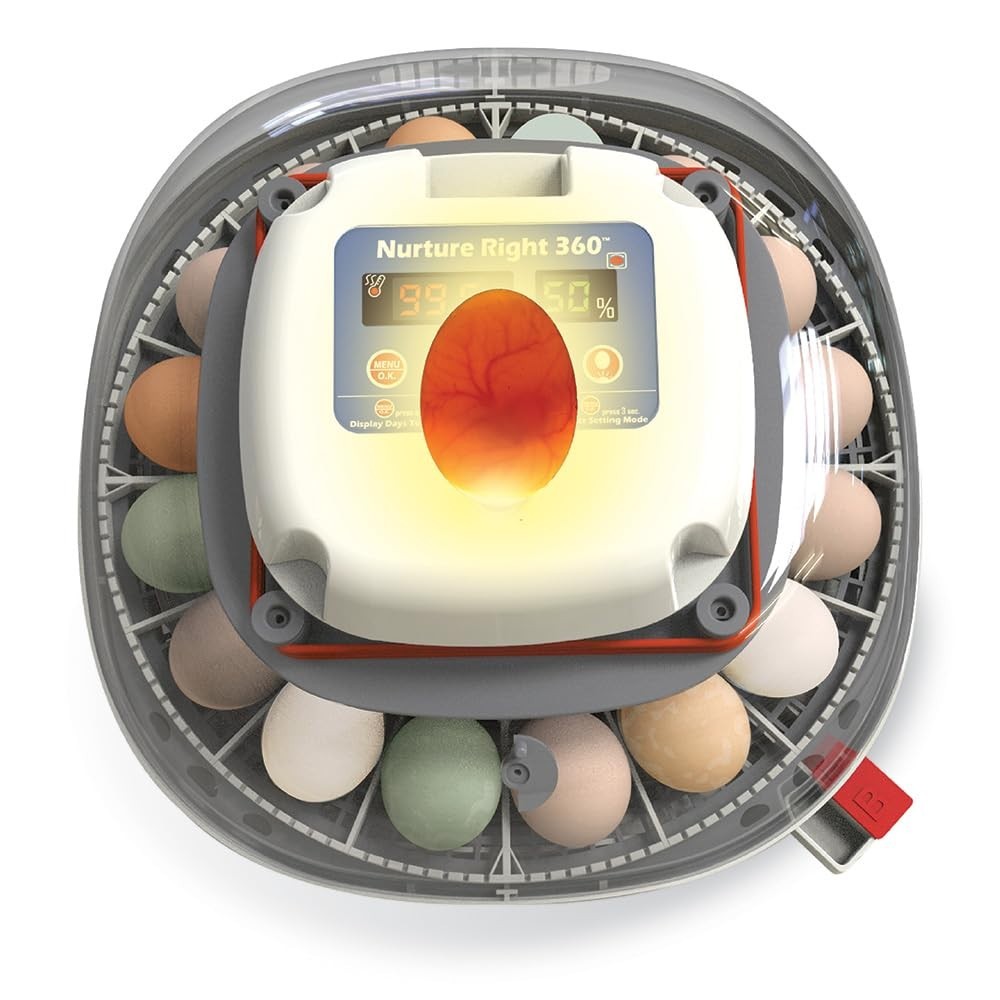 Automatic Egg Turner Incubator for Multiple Poultry Species
