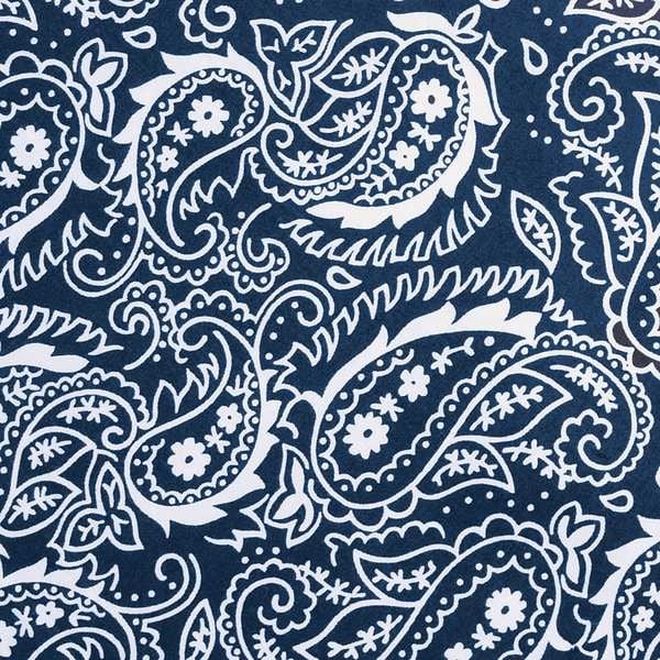 Ergodyne 6700 Cooling Bandana, Universal, Blue