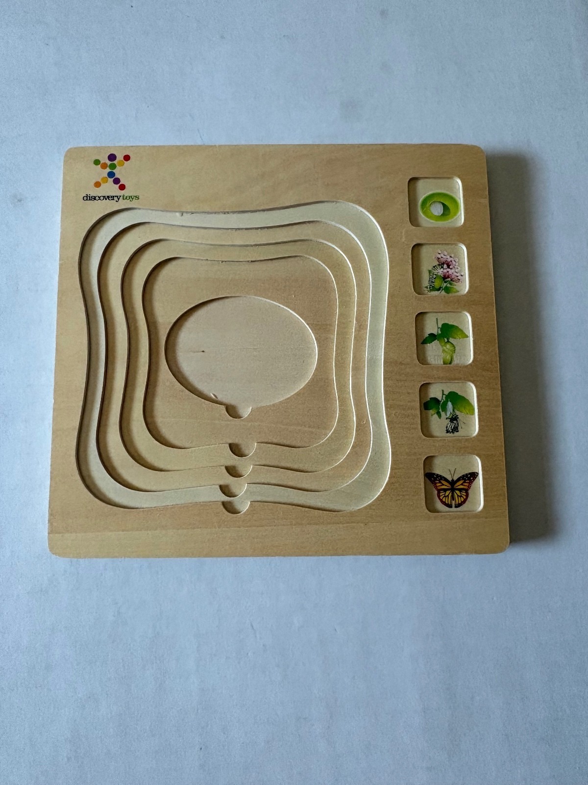 Life cycle of a butterfly puzzle
