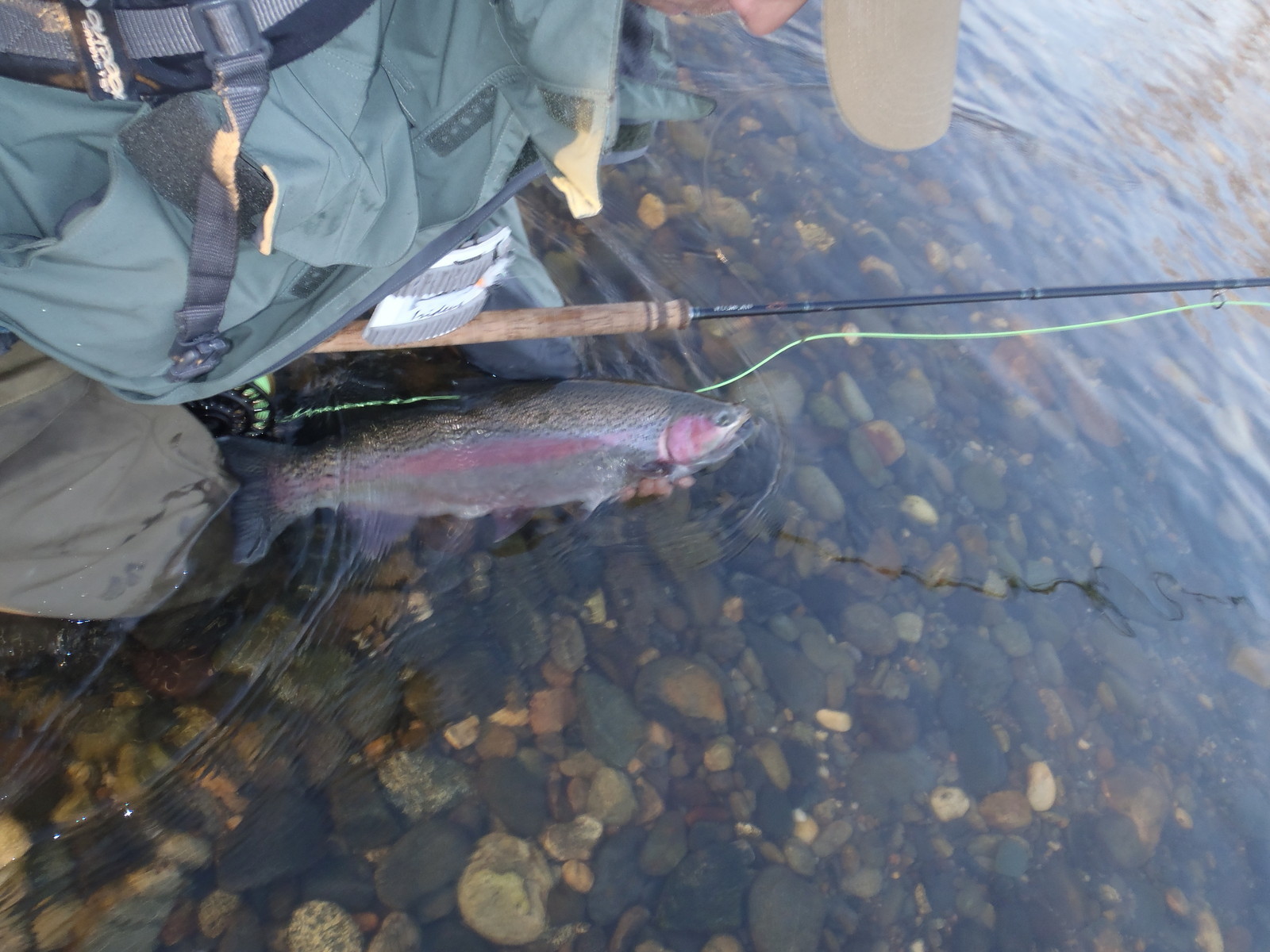 Irideus Conehead Camo Blueberry Wooly Bugger Streamer flies Trout Fly Fishing