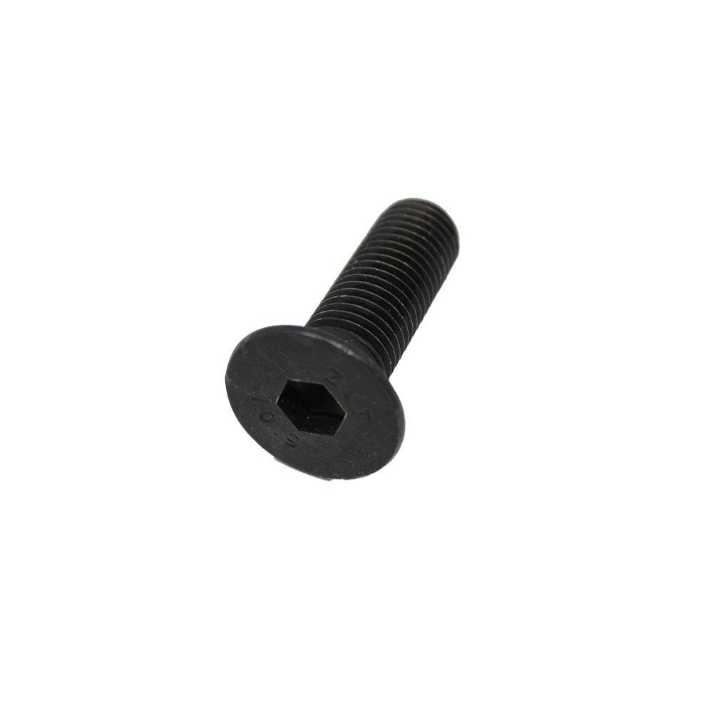 Flat Head Screw Fits Case 420E 430E