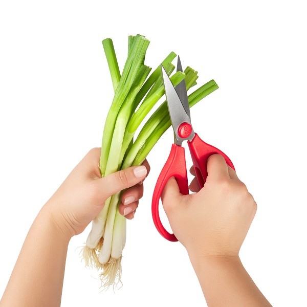 Kitchen Shears