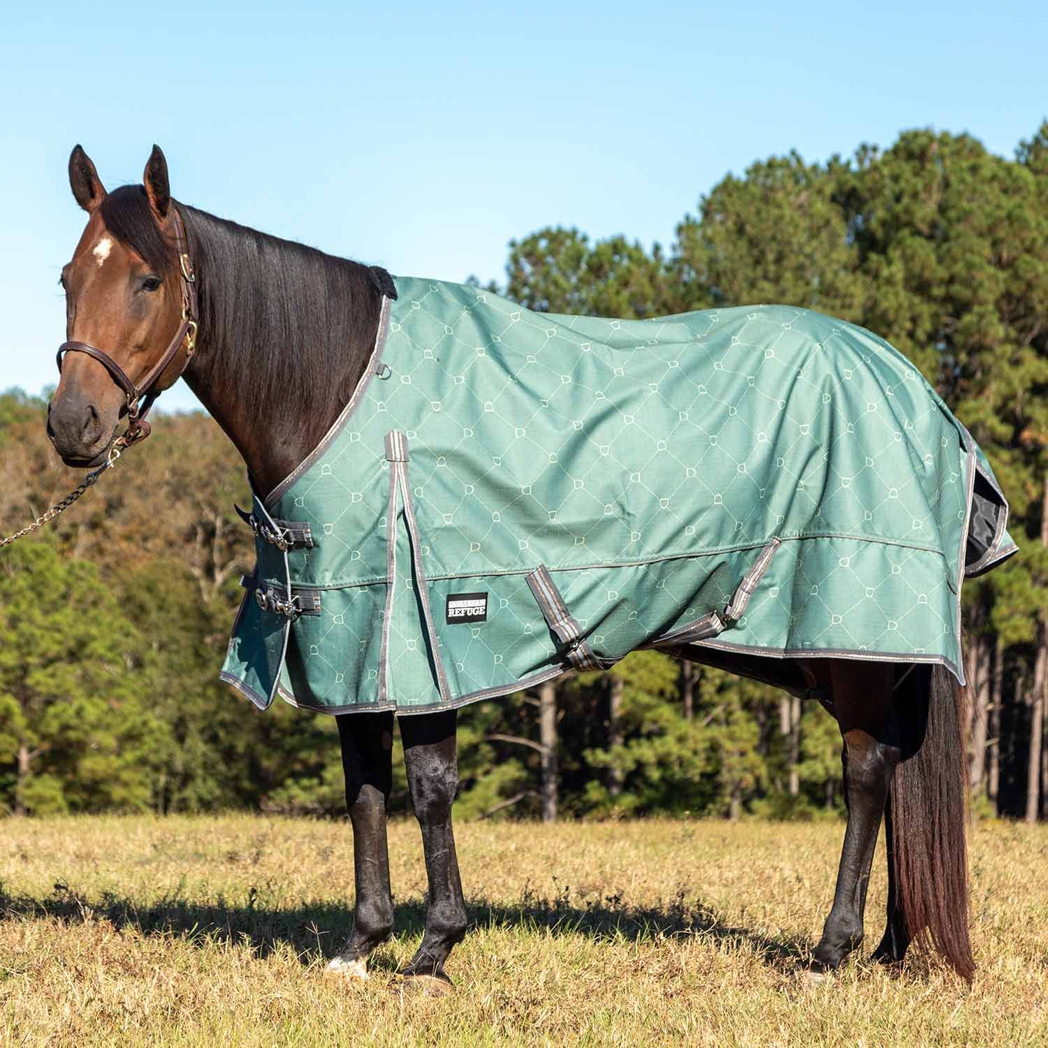 Poplar Head Uniquely English 1200 Denier Turnout Blanket, 240 Gram, Spruce