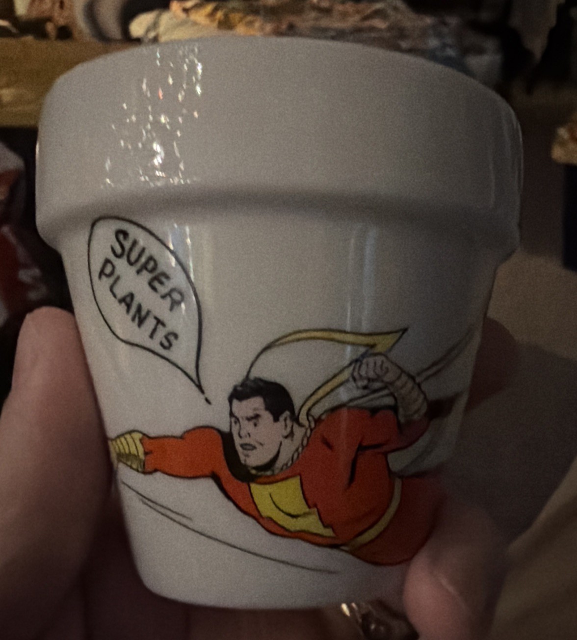 Shazam! SUPER PLANTS DC COMICS GLAZED 3" CERAMIC FLOWER POT VTG  GRAPHICS 1976