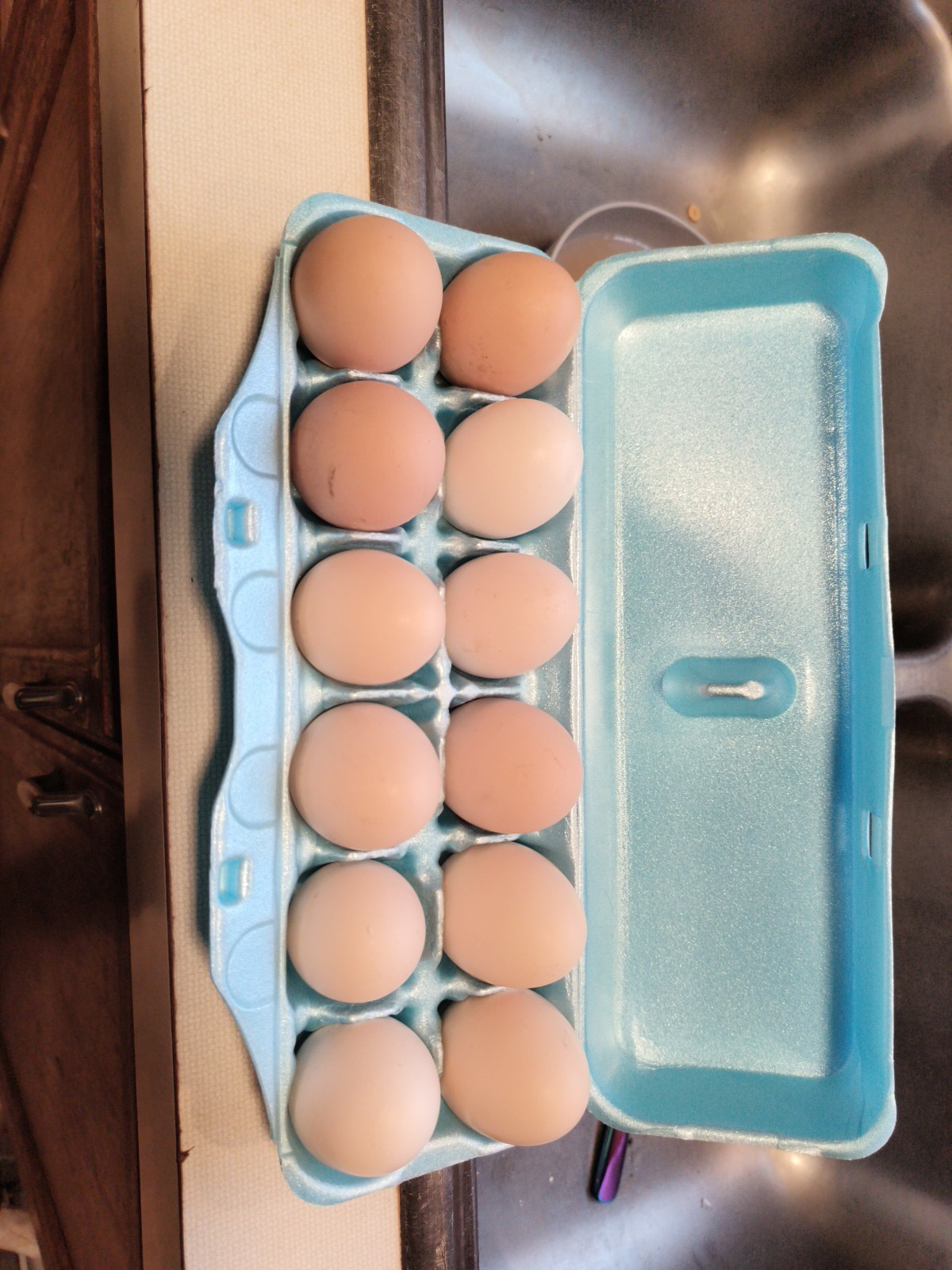 One Dozen Hatching Eggs Barnyard Mix Assorted Colors
