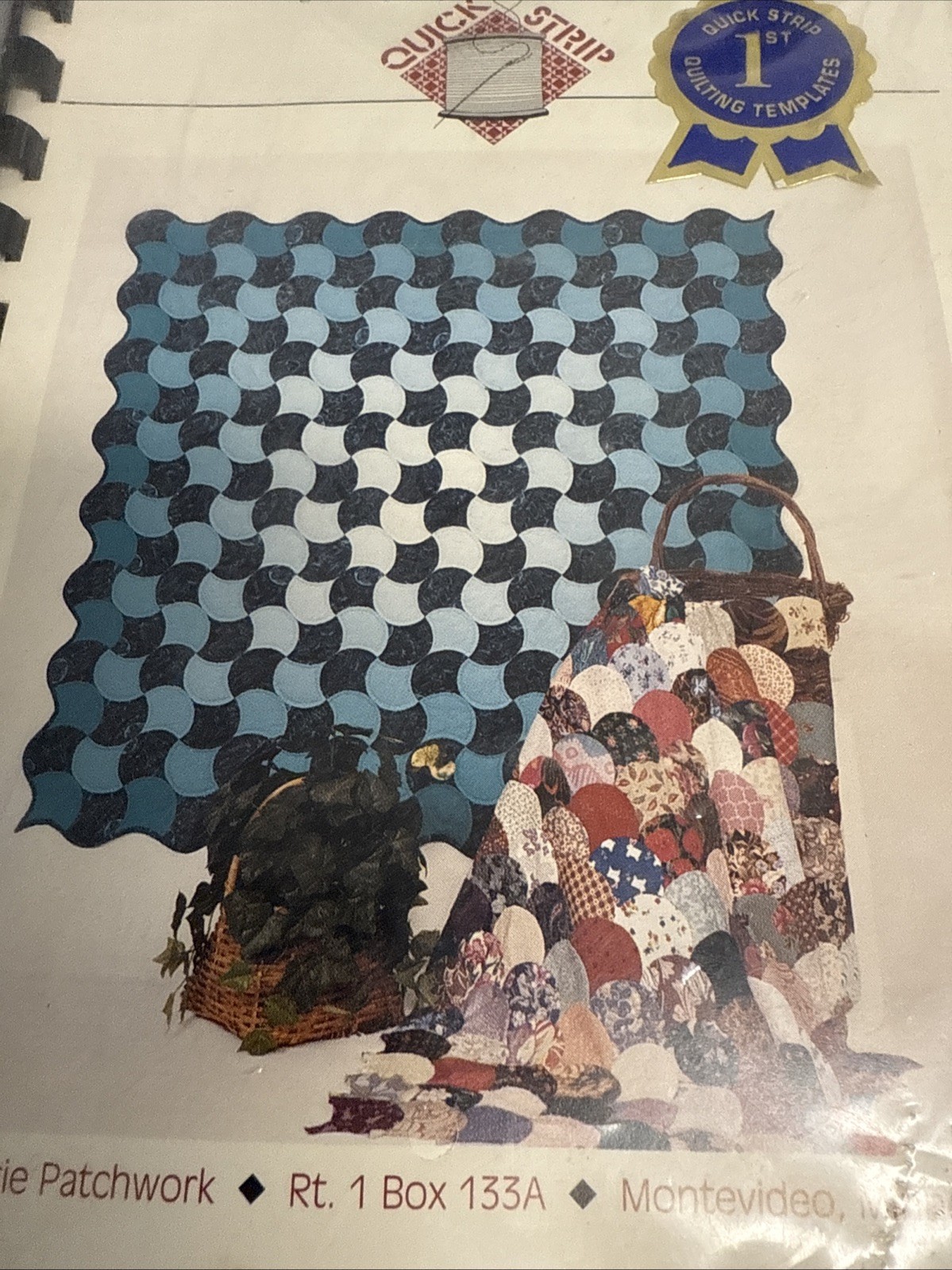 Shell Pattern and Template by Charlene Jorgensen New
