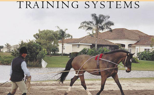 Pessoa Lunging System Horse Size Training Aid Increases Tone Fitness Back Muscle