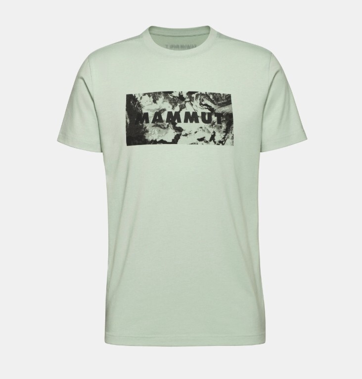 Mammut Trovat T-Shirt Men Logo Lightweight Functional Shirt for Men Silver Sage