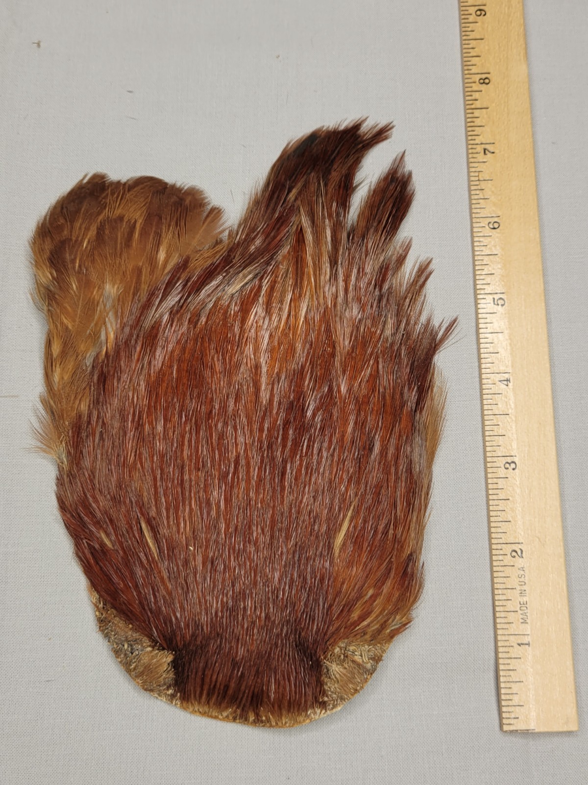 Lot 38,  Grade B,   Natural India Rooster Streamer Neck Cape Feathers